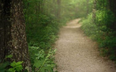 LE CHEMIN DE PAIX