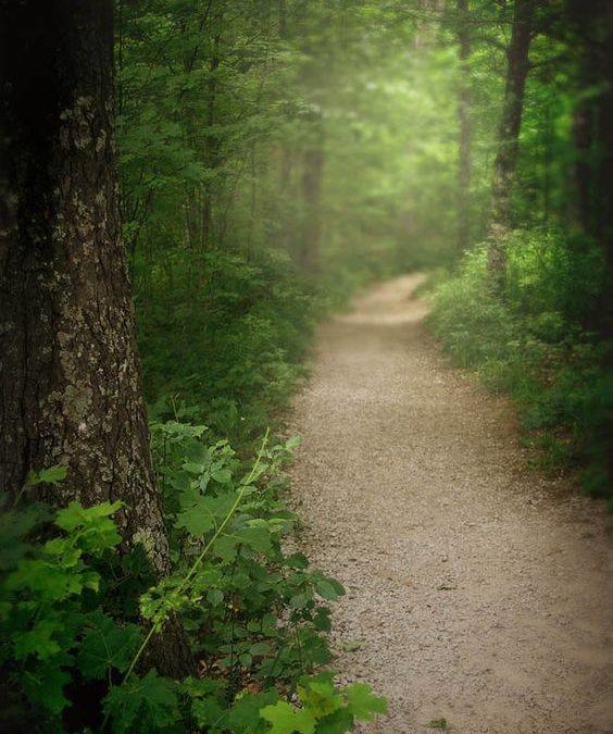 LE CHEMIN DE PAIX