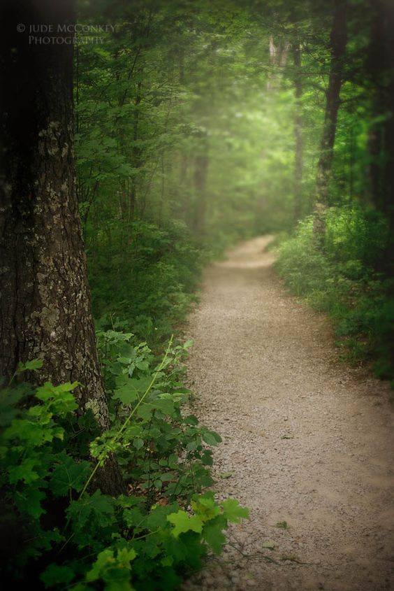 LE CHEMIN DE PAIX